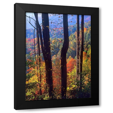 Blue Ridge Parkway near Deep Gap-North Carolina Black Modern Wood Framed Art Print by Fitzharris, Tim