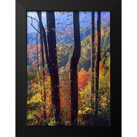 Blue Ridge Parkway near Deep Gap-North Carolina Black Modern Wood Framed Art Print by Fitzharris, Tim