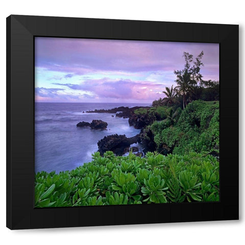 Hana Coast Maui Black Modern Wood Framed Art Print with Double Matting by Fitzharris, Tim