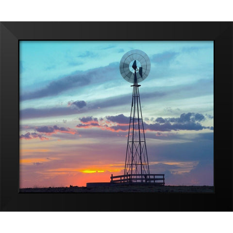 Windmil near Marble Falls-Texas Black Modern Wood Framed Art Print by Fitzharris, Tim