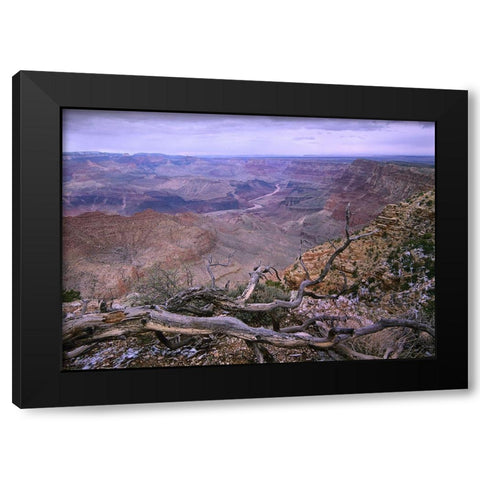 Colorado River from Desert View-Grand Canyon National Park-Arizona Black Modern Wood Framed Art Print with Double Matting by Fitzharris, Tim