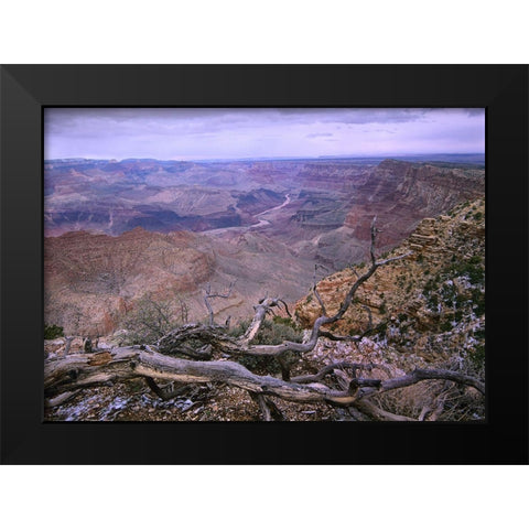 Colorado River from Desert View-Grand Canyon National Park-Arizona Black Modern Wood Framed Art Print by Fitzharris, Tim