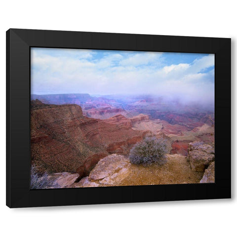 Moran Point-South Rim-Grand Canyon National Park-Arizona Black Modern Wood Framed Art Print with Double Matting by Fitzharris, Tim