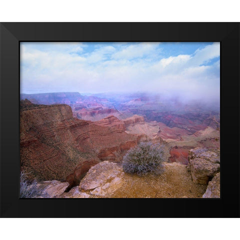 Moran Point-South Rim-Grand Canyon National Park-Arizona Black Modern Wood Framed Art Print by Fitzharris, Tim