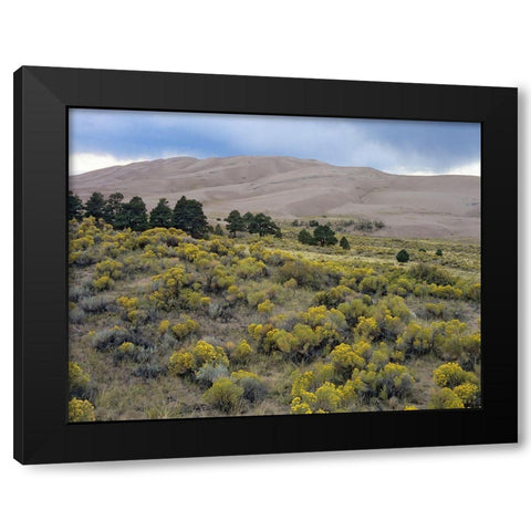 Great Sand Dunes National Park-Colorado Black Modern Wood Framed Art Print with Double Matting by Fitzharris, Tim