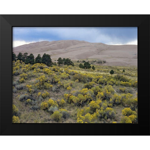 Great Sand Dunes National Park-Colorado Black Modern Wood Framed Art Print by Fitzharris, Tim