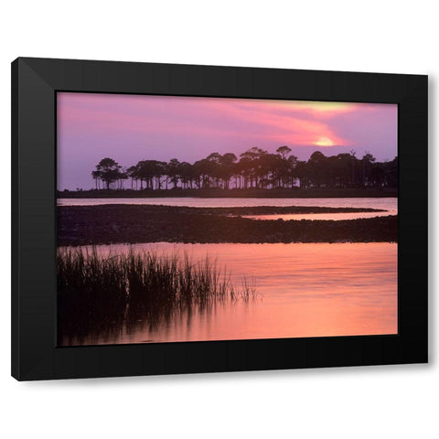 Saint George Island State Park-Saint George Island-Florida Black Modern Wood Framed Art Print with Double Matting by Fitzharris, Tim