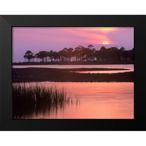 Saint George Island State Park-Saint George Island-Florida Black Modern Wood Framed Art Print by Fitzharris, Tim