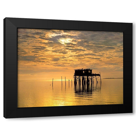 Pelicans-Cedar Key-Florida Black Modern Wood Framed Art Print with Double Matting by Fitzharris, Tim