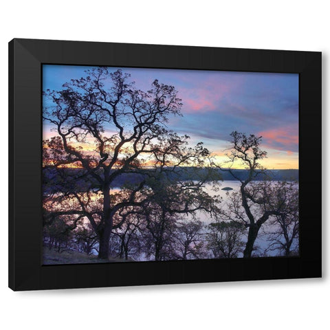 Melones Lake-Calaveras County-California Black Modern Wood Framed Art Print with Double Matting by Fitzharris, Tim