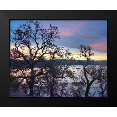 Melones Lake-Calaveras County-California Black Modern Wood Framed Art Print by Fitzharris, Tim