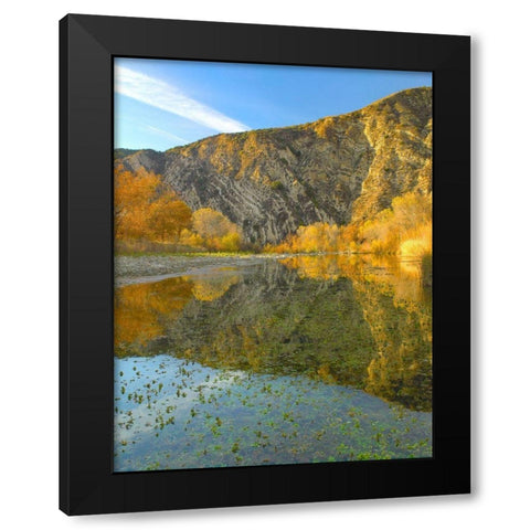 Mountains Reflected in Santa Ynez River-California Black Modern Wood Framed Art Print with Double Matting by Fitzharris, Tim