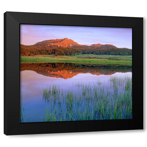 Tripod Peak at Togwotee Pass-Wyoming Black Modern Wood Framed Art Print by Fitzharris, Tim