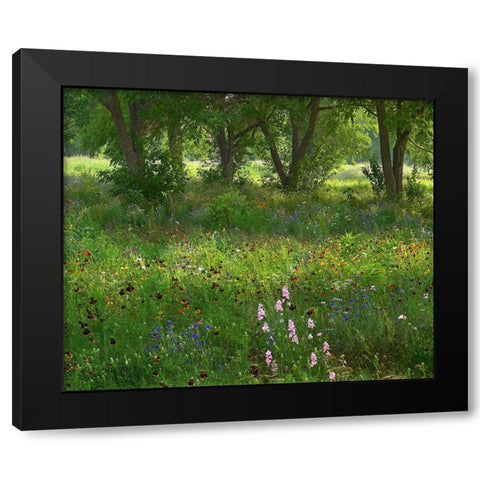 Wildflower Meadow at Jacksonport State Park-Arkansas Black Modern Wood Framed Art Print with Double Matting by Fitzharris, Tim