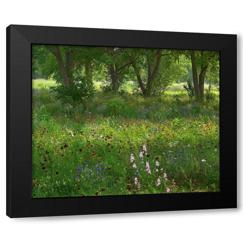 Wildflower Meadow at Jacksonport State Park-Arkansas Black Modern Wood Framed Art Print by Fitzharris, Tim
