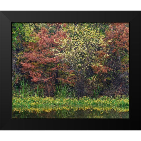 Wilton Landing-Millwood Lake-Arkansas Black Modern Wood Framed Art Print by Fitzharris, Tim