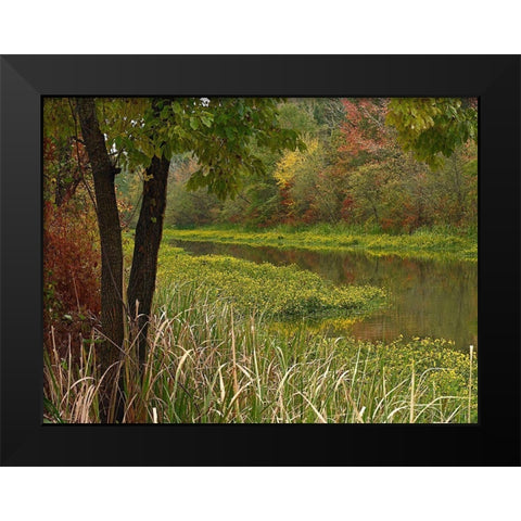 Wilton Landing at Millwood Lake-Arkansas Black Modern Wood Framed Art Print by Fitzharris, Tim