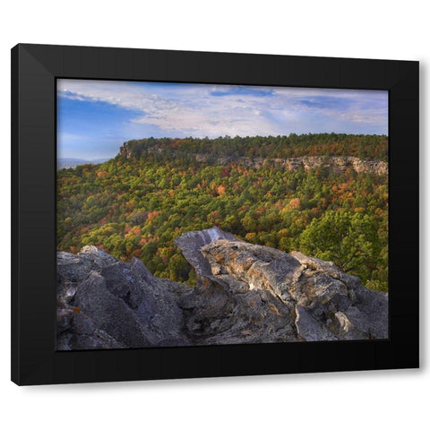 Cedar Canyon at Palisades Overlook-Petit Jean State Park-Arkansas Black Modern Wood Framed Art Print with Double Matting by Fitzharris, Tim