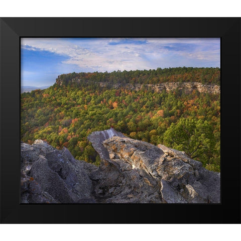 Cedar Canyon at Palisades Overlook-Petit Jean State Park-Arkansas Black Modern Wood Framed Art Print by Fitzharris, Tim