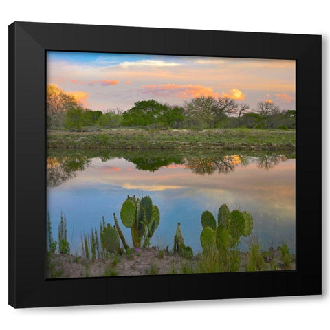 South Llano River State Park-Texas. Black Modern Wood Framed Art Print by Fitzharris, Tim