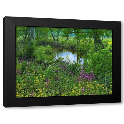 Big Thicket National Preserve-Lance Rosier-Texas Black Modern Wood Framed Art Print with Double Matting by Fitzharris, Tim