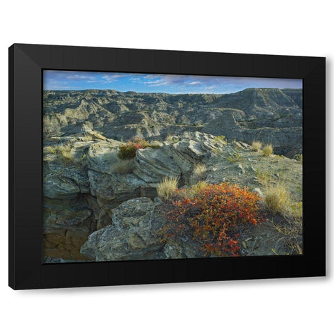 Makoshika State Park-Montana Black Modern Wood Framed Art Print with Double Matting by Fitzharris, Tim