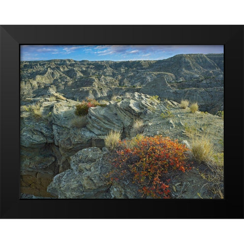 Makoshika State Park-Montana Black Modern Wood Framed Art Print by Fitzharris, Tim