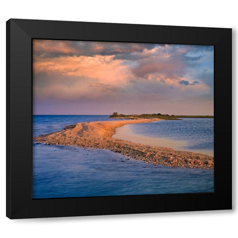 Oystercatcher Point near Rockport-Texas Black Modern Wood Framed Art Print by Fitzharris, Tim