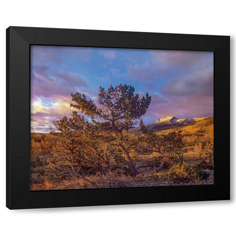 Flathead Range-Montana Black Modern Wood Framed Art Print with Double Matting by Fitzharris, Tim