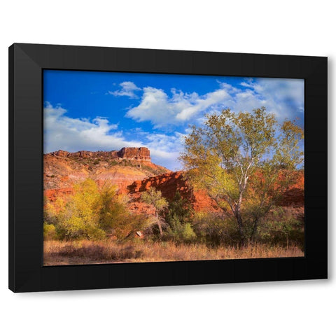 Sorensen Point-Palo Duro Canyon State Park-Texas Black Modern Wood Framed Art Print with Double Matting by Fitzharris, Tim