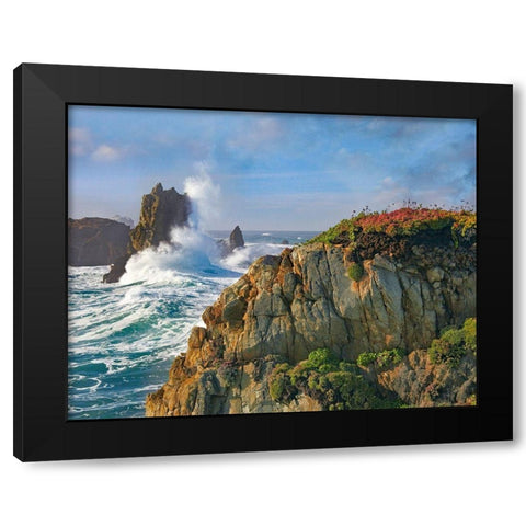 Pounding Waves at Piedras Blancas-California Black Modern Wood Framed Art Print by Fitzharris, Tim