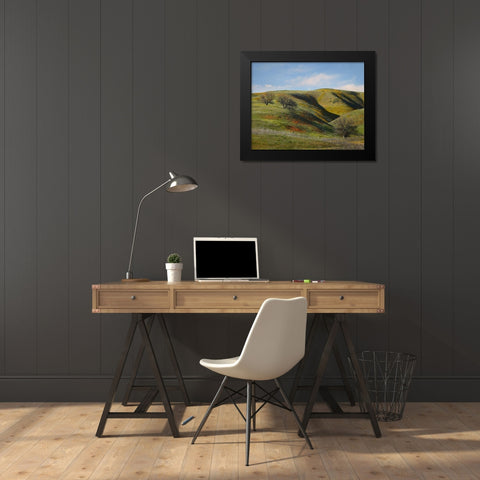 La Panza Range in Spring-Califonia Black Modern Wood Framed Art Print by Fitzharris, Tim