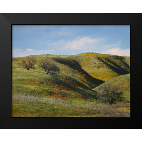 La Panza Range in Spring-Califonia Black Modern Wood Framed Art Print by Fitzharris, Tim