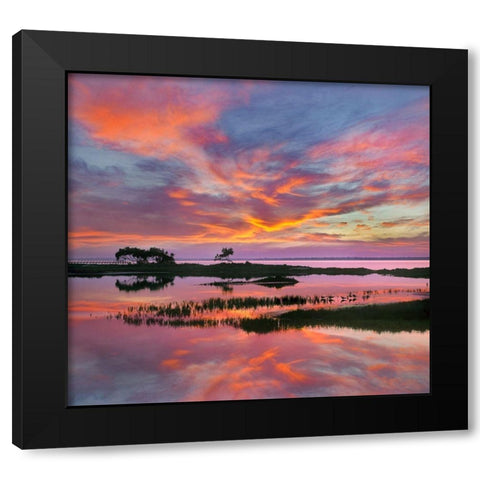 Padre Island National Seashore-Texas-USA Black Modern Wood Framed Art Print by Fitzharris, Tim