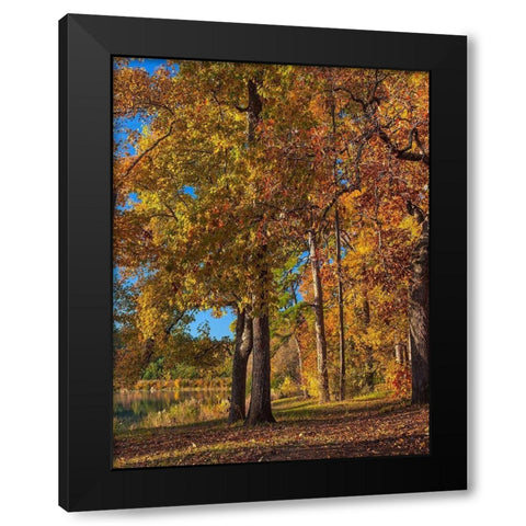 Tyler Lake State Park-Texas Black Modern Wood Framed Art Print with Double Matting by Fitzharris, Tim