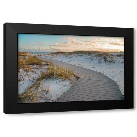 Boardwalk at Gulf Islands National Seashore-Florida Black Modern Wood Framed Art Print with Double Matting by Fitzharris, Tim