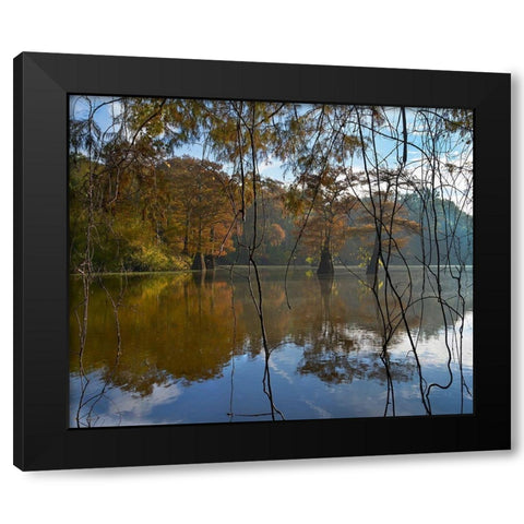 White River National Wildlife Refuge-Arkansas-USA Black Modern Wood Framed Art Print with Double Matting by Fitzharris, Tim