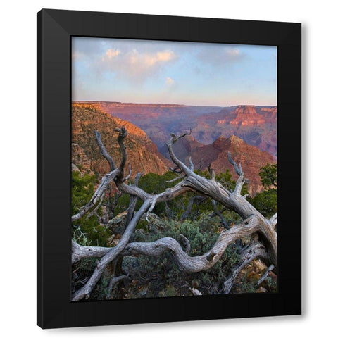 Desert View Overlook-Grand Canyon National Park-Arizona-USA Black Modern Wood Framed Art Print with Double Matting by Fitzharris, Tim