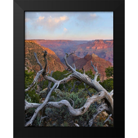 Desert View Overlook-Grand Canyon National Park-Arizona-USA Black Modern Wood Framed Art Print by Fitzharris, Tim