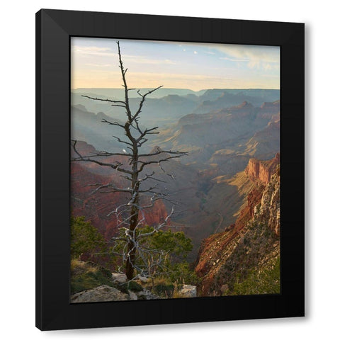 The Abyss from near Mohave point-Grand Canyon National Park-Arizona Black Modern Wood Framed Art Print by Fitzharris, Tim