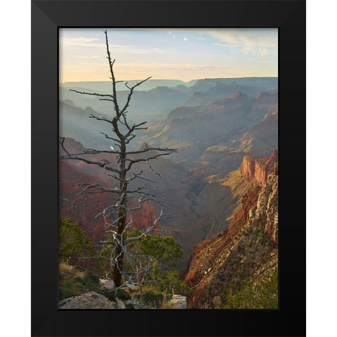 The Abyss from near Mohave point-Grand Canyon National Park-Arizona Black Modern Wood Framed Art Print by Fitzharris, Tim