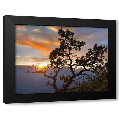 Yavapai Point-Grand Canyon National Park-Arizona-USA Black Modern Wood Framed Art Print by Fitzharris, Tim