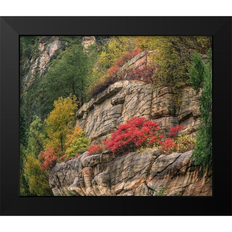 Oak Creek Canyon near Sedona-Arizona Black Modern Wood Framed Art Print by Fitzharris, Tim