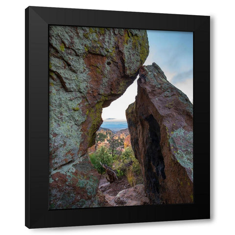 Echo Canyon Trail Chiricahua National Monument-Arizona-USA Black Modern Wood Framed Art Print with Double Matting by Fitzharris, Tim