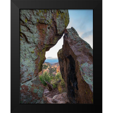 Echo Canyon Trail Chiricahua National Monument-Arizona-USA Black Modern Wood Framed Art Print by Fitzharris, Tim