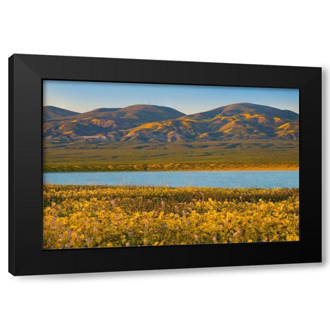 Temblor Range at Soda Lake -Carrizo Plain National Monument-California Black Modern Wood Framed Art Print with Double Matting by Fitzharris, Tim