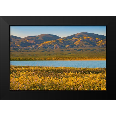 Temblor Range at Soda Lake -Carrizo Plain National Monument-California Black Modern Wood Framed Art Print by Fitzharris, Tim