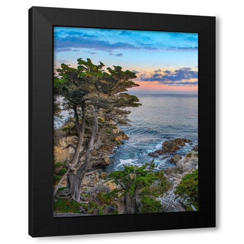 Pescdero Point-17-mile drive-Pebble-Beach-California-USA Black Modern Wood Framed Art Print with Double Matting by Fitzharris, Tim