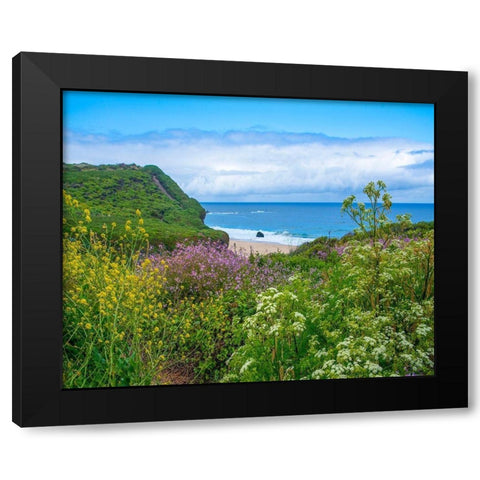 Garrapata Stare Park-Big Sur-California-USA Black Modern Wood Framed Art Print by Fitzharris, Tim