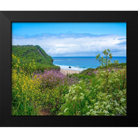 Garrapata Stare Park-Big Sur-California-USA Black Modern Wood Framed Art Print by Fitzharris, Tim